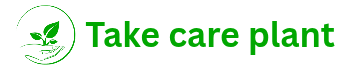 Take care plant 